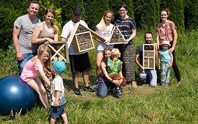 Building insect houses