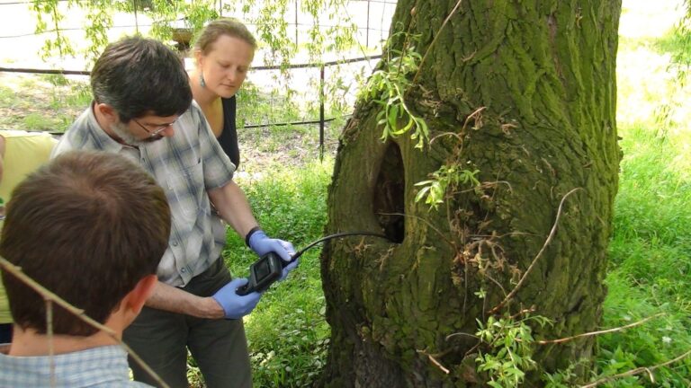 „Drzewa w otwartym krajobrazie – instrukcja obsługi” – szkolenie w Zabierzowie