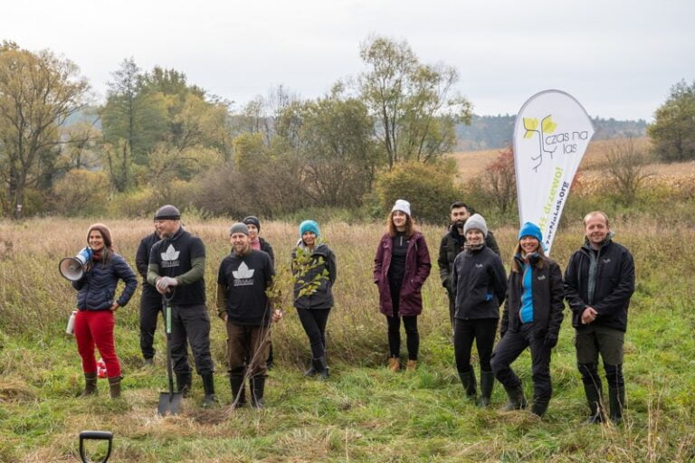 Planting trees with UBS volunteers