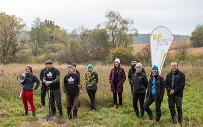 Sadzimy drzewa z wolontariuszami UBS