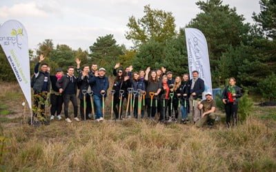 We are planting as part of the Salesforce project