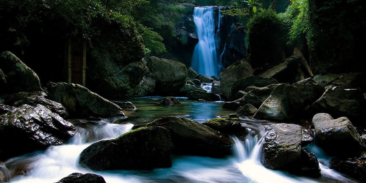 Swiatowy_Dzien_Wody-Aeris_Futuro