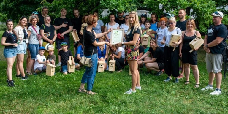 Sadzimy byliny z dentsu Polska