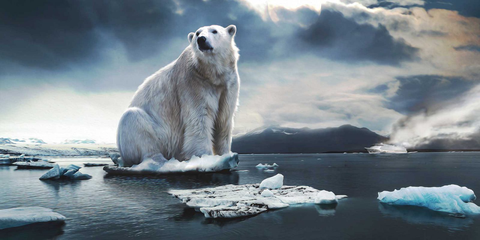 niedźwiedź-polarny-gatunek-zagrożony