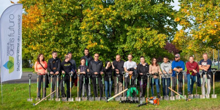 Autumn plantings in Wroclaw