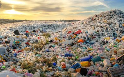 Światowy Dzień Środowiska 2023 skupia się na globalnym zanieczyszczeniu tworzywami sztucznymi