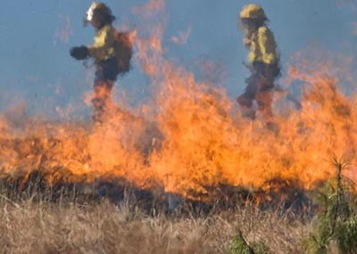 Wypalanie traw – czy ma jakieś zalety?
