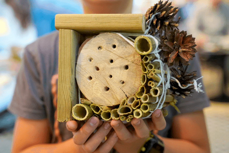 Na zdjęciu widoczny hotel dla owadów wykonany podczas naszych warsztatów. Hotel to nieduża budka, która składa się z szyszek, trzciny i drewna z nawierconymi otworami.