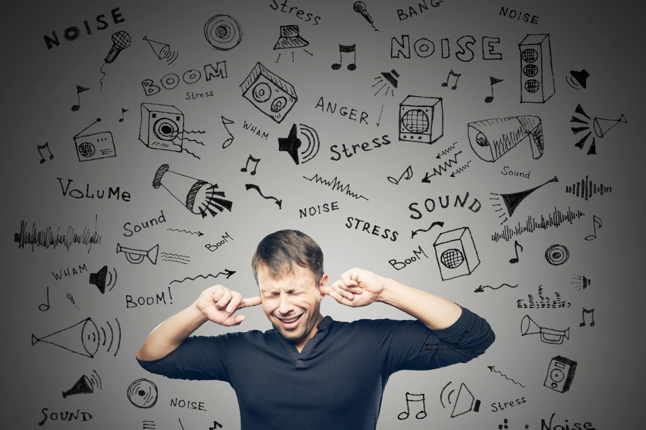 drzewa redukują hałas