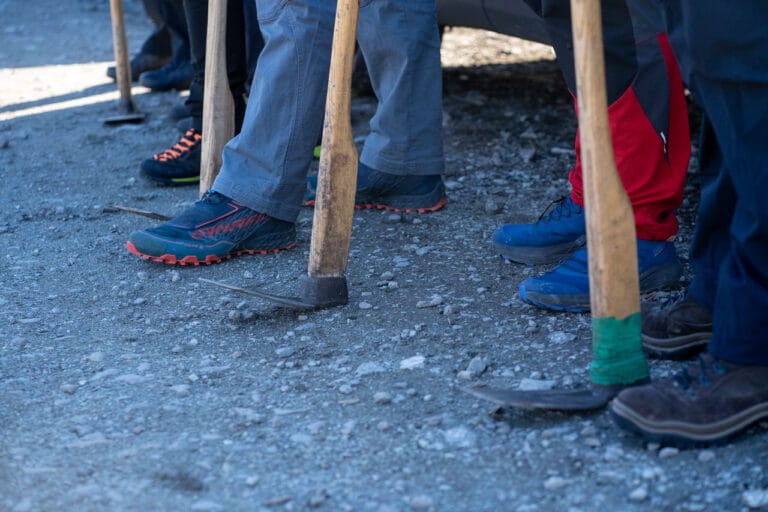 Akcja sadzenia drzew ze sklepem górskim