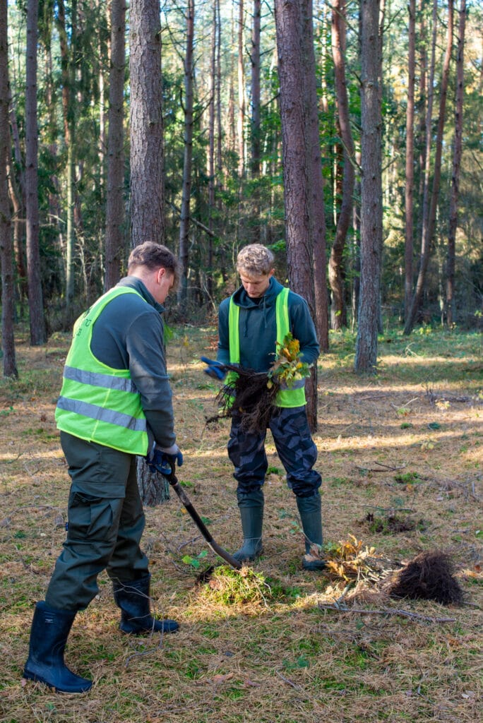 Sadzenie drzew dzięki środkom z recyklingu i przetwarzania ubrań.