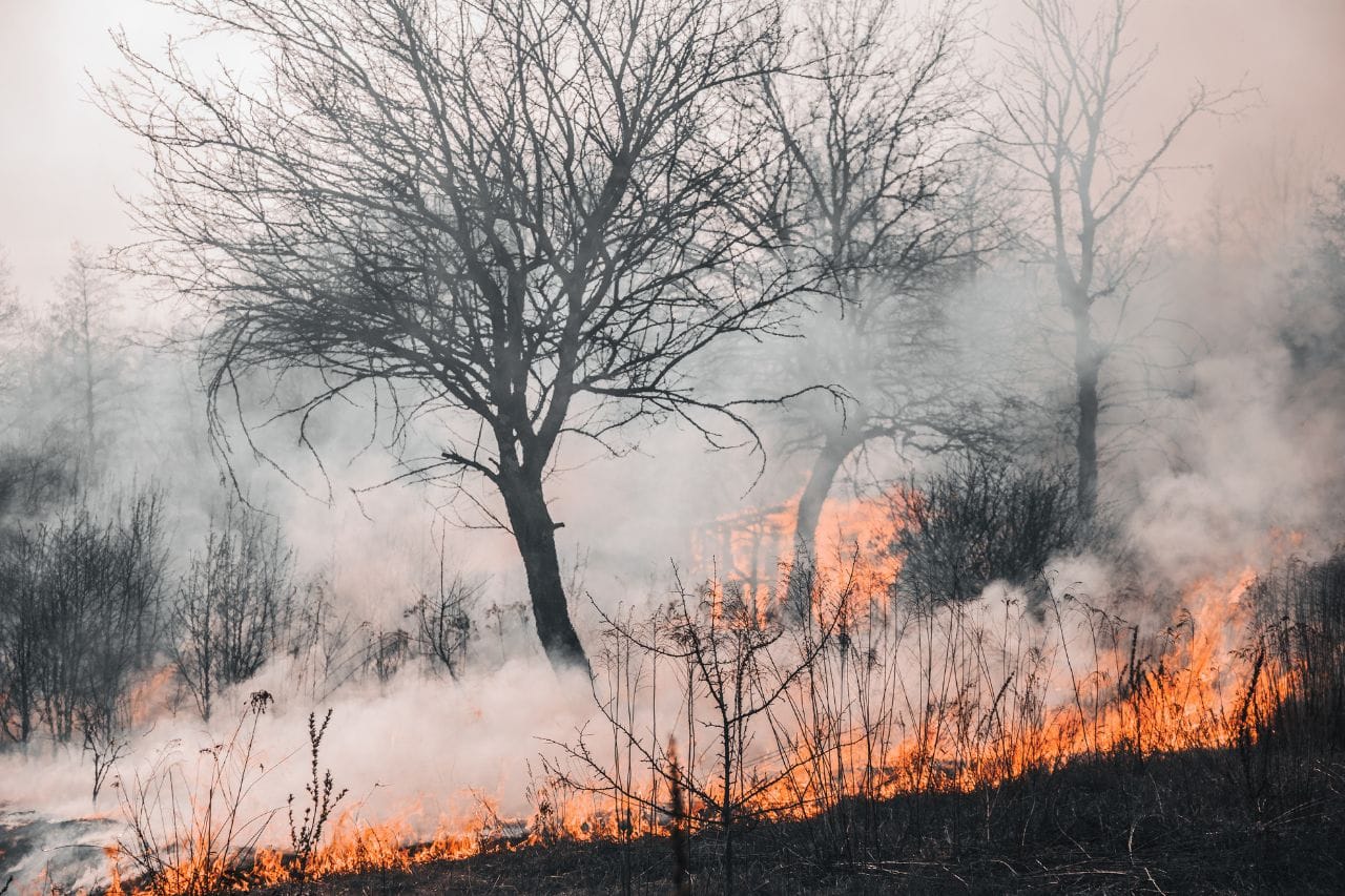 Pożar wskutek wypalania traw