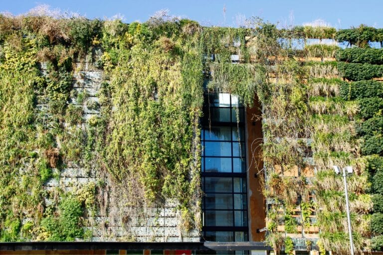 Na zdjęciu widoczny budynek pokryty roślinami. Są to tak zwane zielone ściany.