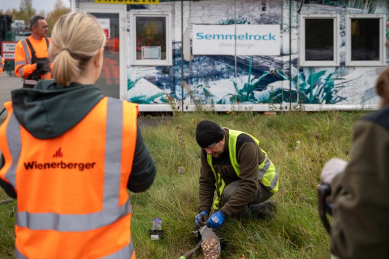 Zwiększanie bioróżnorodności wokół zakładu  Semmelrock