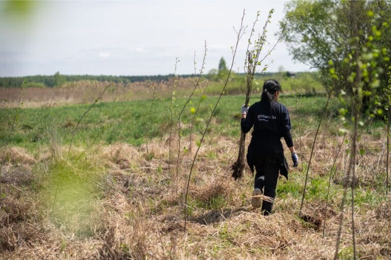 Sadzenie rodzimych drzew w gminie Wieliszew